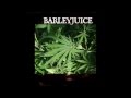 Barleyjuice - Scottish Green