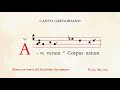 «Ave verum Corpus» – Himno en honor del Santísimo Sacramento – Canto Gregoriano