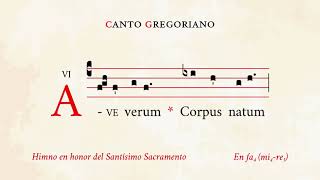 Ave verum Corpus Music Video