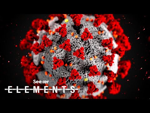 What Is the New Coronavirus?