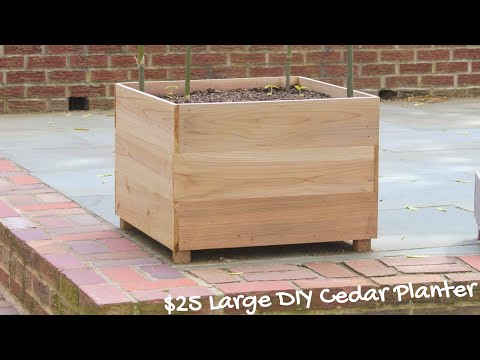 DIY Large Cedar Planter | Built With $25 in 2x4s and Fence Pickets