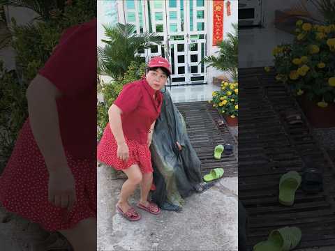 vui ngày mới 🥰🥰