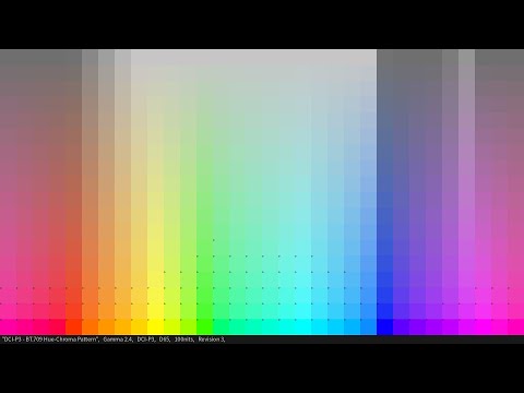 DCI-P3 Gmaut Check Pattern Type 1 (HDR10)