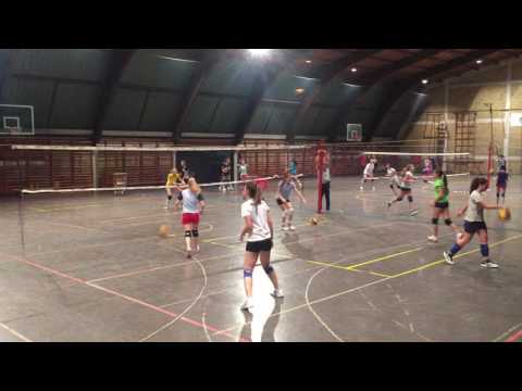 Topvolley Cup Novi Sad takımlar: DUNAV Volleyball antreman1