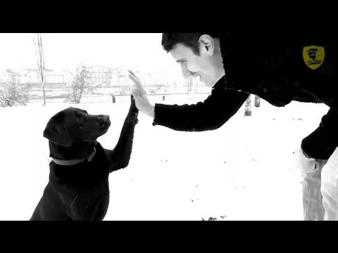 Sport1 stellt vor: Andy Schmid