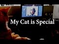 My Cat Is Special