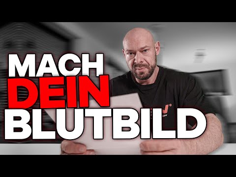 Die wichtigsten Blutwerte für Bodybuilder & Kraftsportler – Das MUSST du regelmäßig checken!