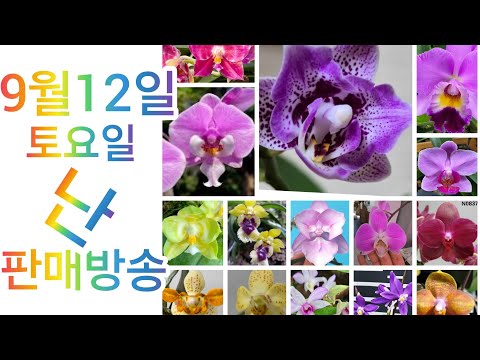 상품 소개 영상