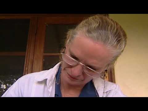 Flying Fox Fairytale