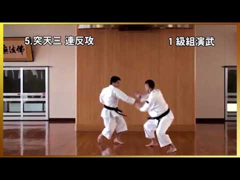1 Kyu kumi-embu Shorinji Kempo. Demonstrations techniques, goho, juho. 少林寺拳法