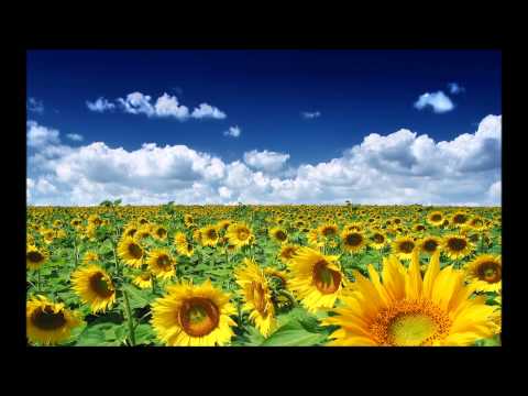 Furdak & Litviakov - Road to Passy