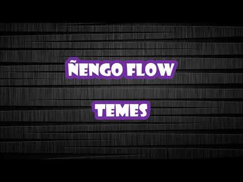 Ñengo Flow - Temes (Prod. By Los G4) (Letra)
