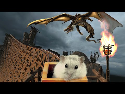 Hamster in Roller Coaster Maelstrom with dragon