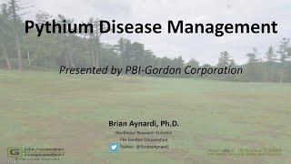 Pythium Disease Management