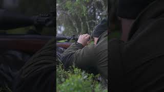 Schon gesehen? Jetzt auf Hunt on Demand ansehen📲🌿! #copterpro