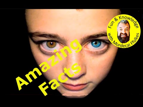 Amazing facts No. 6