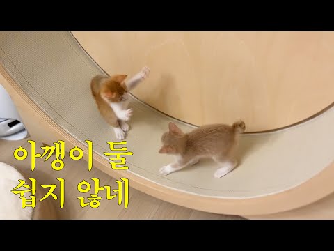 내 몸이 여러 개였으면 좋겠다