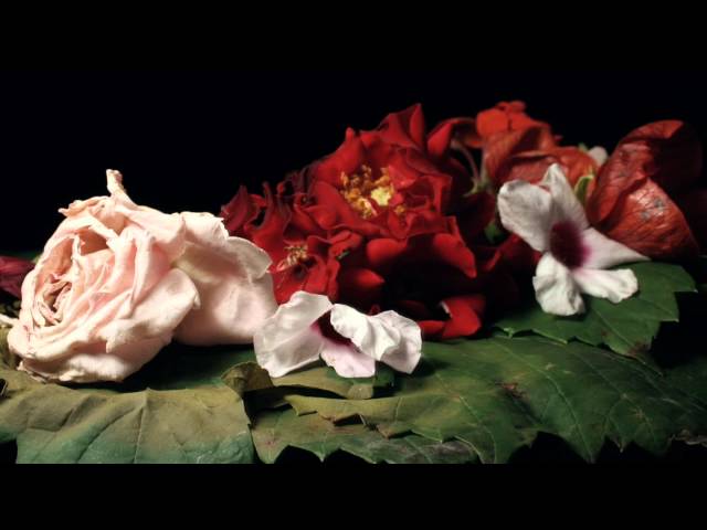 Vídeo relacionado con The Memory of Us: A Novel (English Edition)