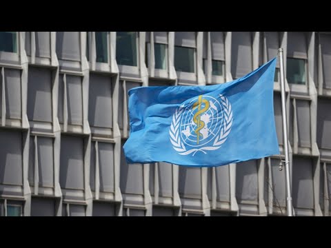 New virus variant - WHO declares global emergency due to Mpox