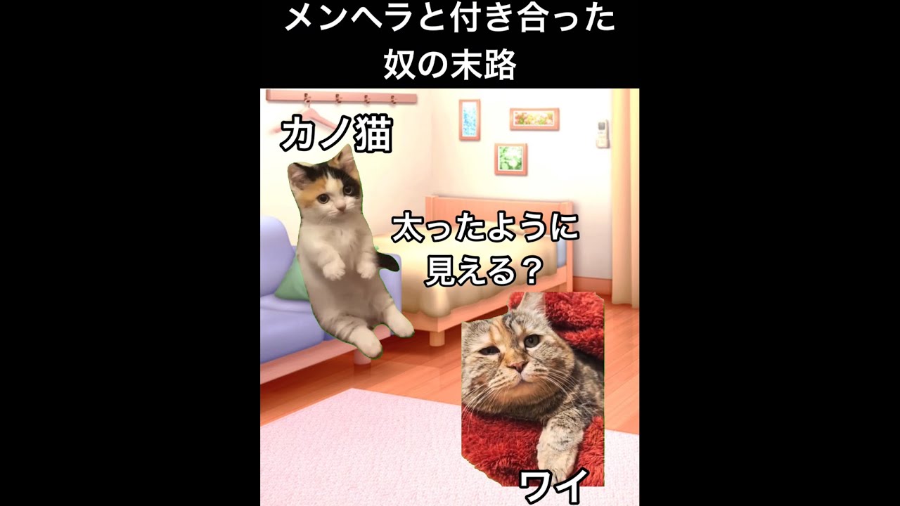 メンヘラと付き合った奴の末路【猫ミーム】【猫マニ】【猫meme】