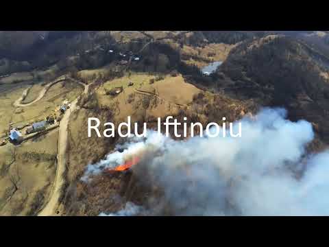 Mâini criminale dau foc pădurilor din județul Buzău!