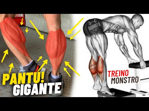 Super Treino de Panturrilha Repita 3 vezes na semana