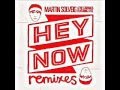 Martin Solveig & The Cataracs - Hey Now (Marsman ...