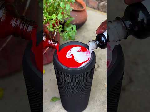 Red + white croma bass