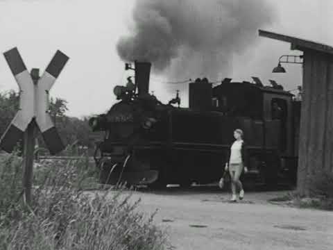 Ton Pruissen - Reichsbahn-Dampf Teil 9: Wilsdruff und Mügeln (Trailer)