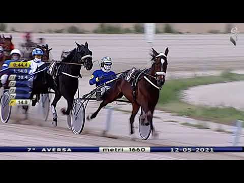 Aversa trotto 12 Maggio 2021 - 7° Corsa