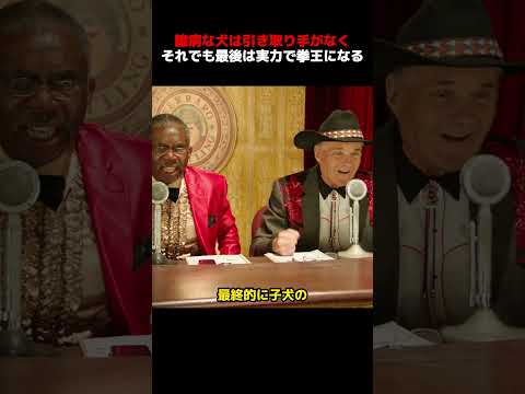 臆病な犬は引き取り手がなく、それでも最後は実力で拳王になる！
