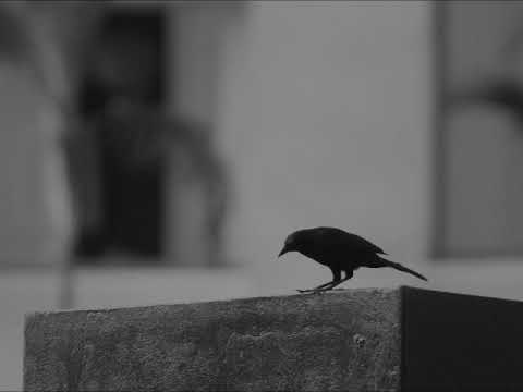 Through video thumbnail