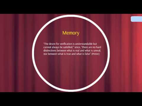 What are Pinter's plays about?