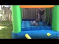 Walker In The Bouncy House