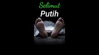 Download lagu Selimut putih #shorts #apixtenan#viralshorts mp3 Download lagu Selimut putih #shorts #apixtenan#viralshorts mp3