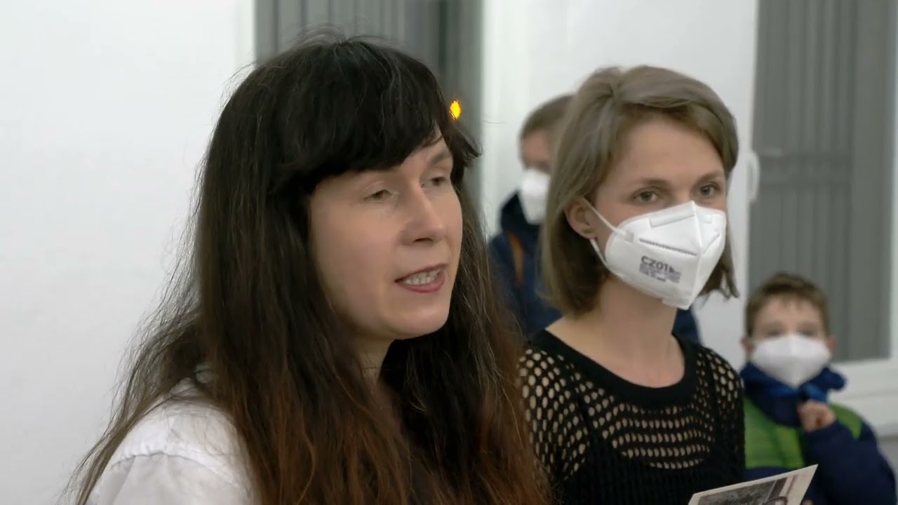náhled z videa Obrazy Miroslava Štolfy