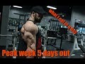 IFBB Pro John Jewett: Peak Week Log: NY Pro 5 Days out: What I eat in a day