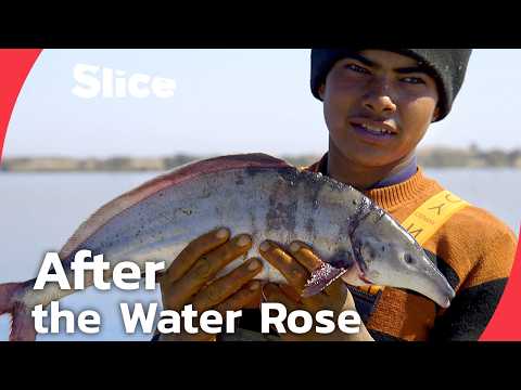 Lake Nasser: Fishermen and displaced Nubians, the two faces of progress in Egypt | SLICE