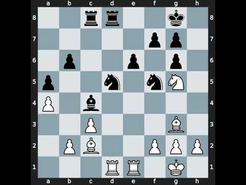 Vladimir Okhotnik(2453) vs Anthony Wirig(2347) | Event: 1st Festival | 2003.03.03