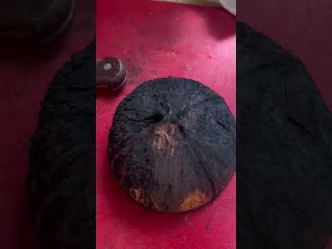 Removing Coconut Meat from its Shell 🥥 | Quick Hack #shorts