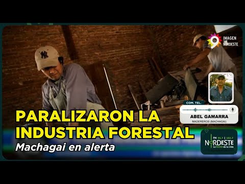 La industria forestal paralizada: “En Machagai el 80 % vive de la madera”