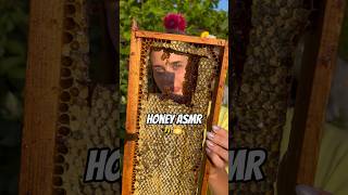 Download lagu Have you ever tasted?😳 #asmreating #mukbang #crazyfood #asmr #eating #honey mp3 Download lagu Have you ever tasted?😳 #asmreating #mukbang #crazyfood #asmr #eating #honey mp3