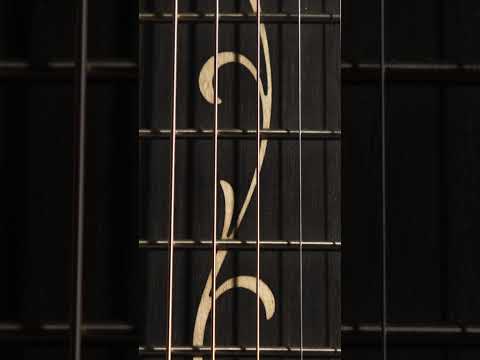 D´ADDARIO XS