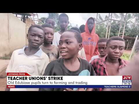 Teachers’ strike leaves Old Edubiase pupils trading and farming instead of learning