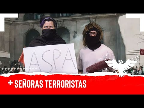 SEÑORAS TERRORISTAS - EL PULSO DE LA REPÚBLICA
