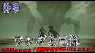 【ゆっくり実況】カメムシですか？『ワンダと巨像』♯９体目