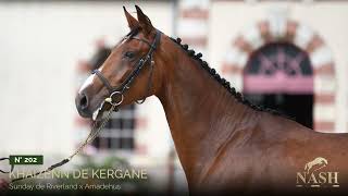 N°202 - Khaizenn de Kergane - NASH Elite Auction - October 27th, 28th & 29th of 2023