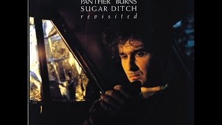 tav falco's panther burns - money talks (1985)