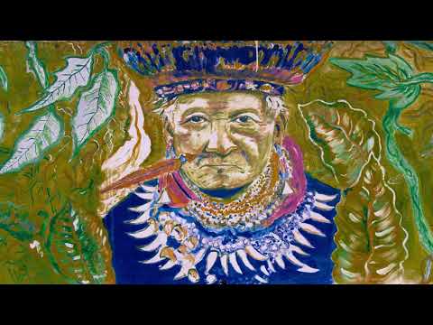 Wilmer Zorro - Raíz Ancestral / Música Medicina Yagé