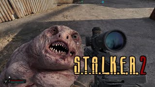 29 初心者向け解説動画『S.T.A.L.K.E.R. 2: Heart of Chornobyl』ストーカー2：ハート・オブ・チョルノービリ　慢性びえん実況